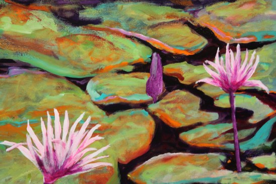 Water lilies series